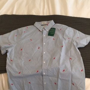 Short sleeve button up